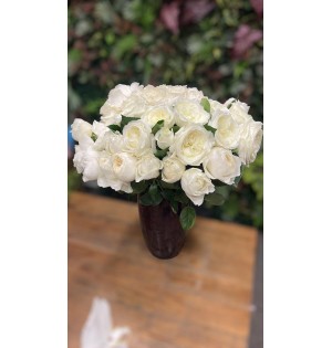 35li Beyaz Gül
