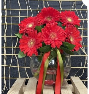 Fanusta Kırmızı Gerbera