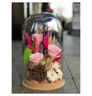 Pembe Gül teraryum