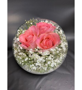 Pembe Gül Teraryum 