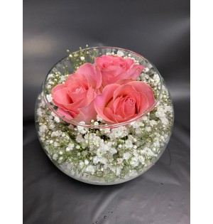 Pembe Gül Teraryum 