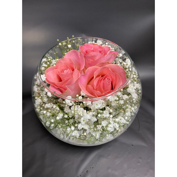 Pembe Gül Teraryum 