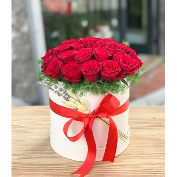 Kutuda Gül 1