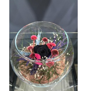 Kuru Çiçek Teraryum 1