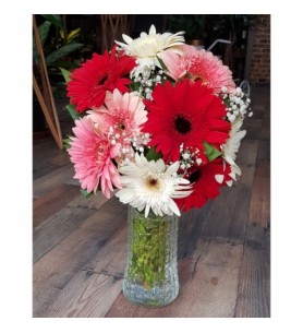 Karışık Gerbera Aranjmanı