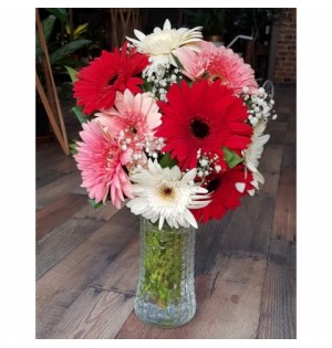 Karışık Gerbera Aranjmanı