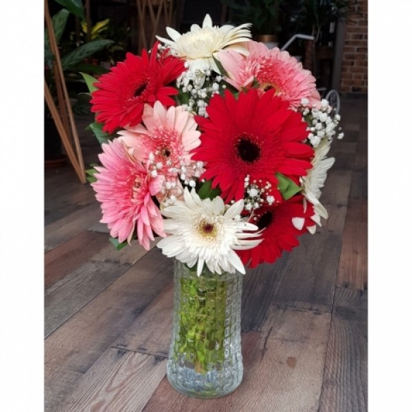 Karışık Gerbera Aranjmanı